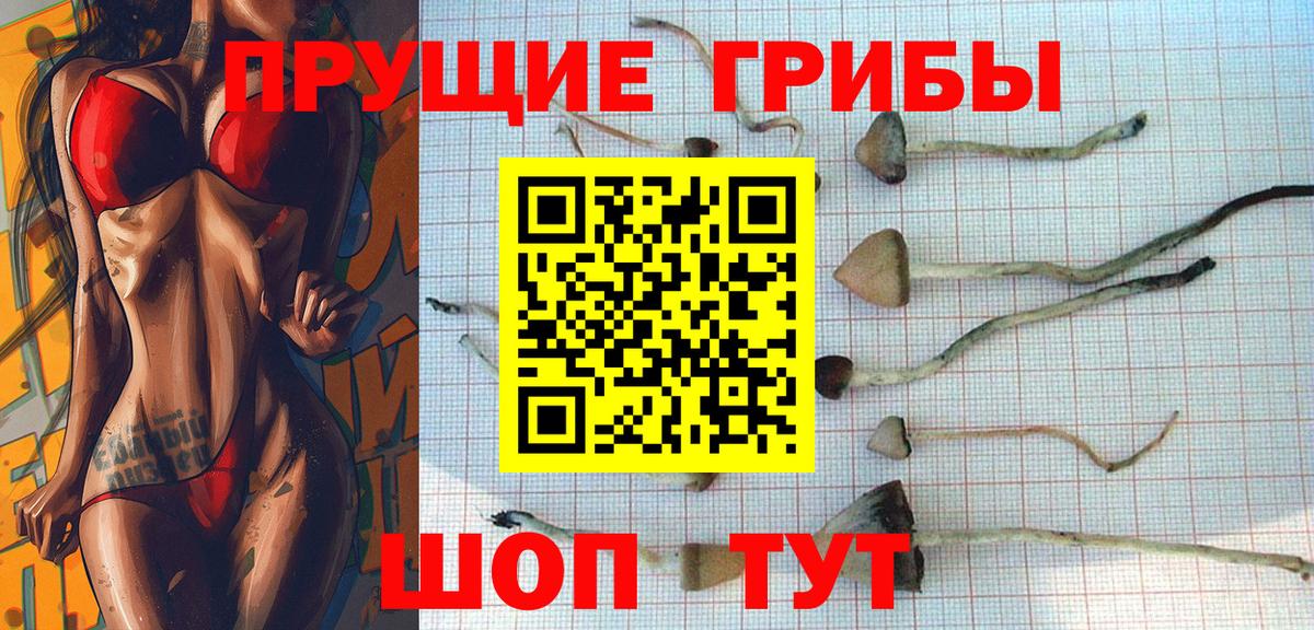 Галлюциногенные грибы мицелий Котельники