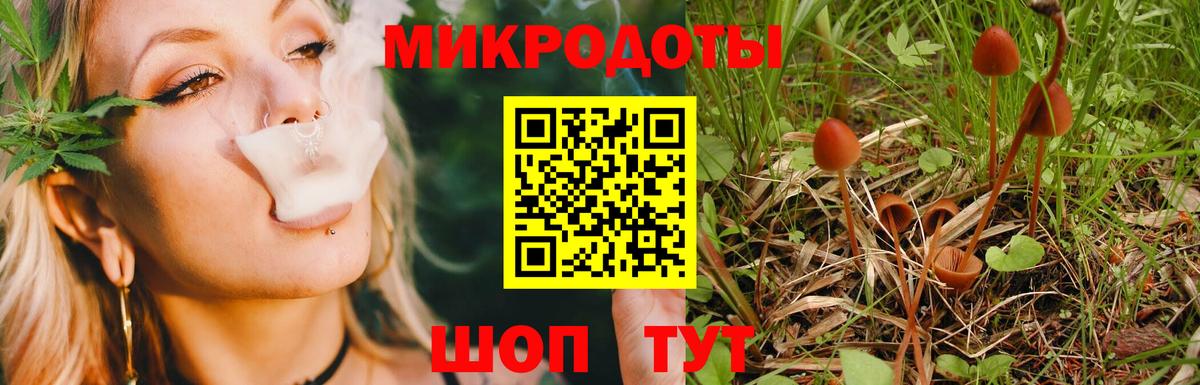 где купить наркоту  Вход с VPN  Котельники  Галлюциногенные грибы мухоморы 